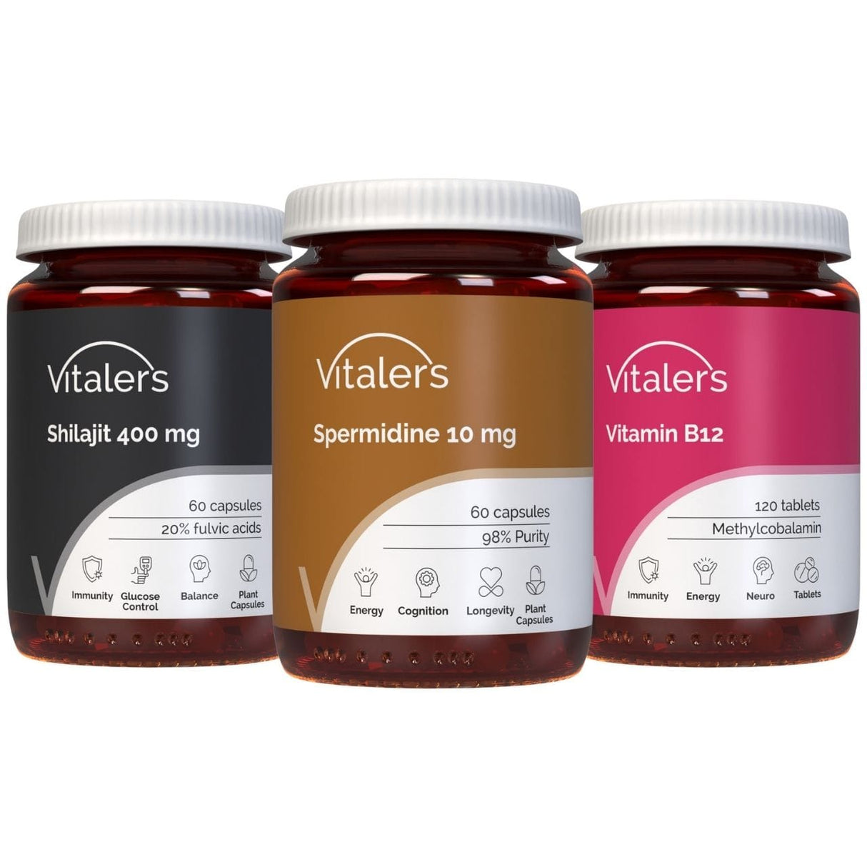 Vitaler's Brain Power Kit