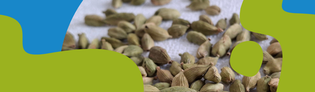 Hemp Seeds Benefits & Cold-Pressed Hemp Oil
