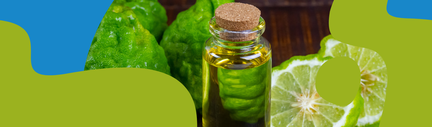 Bergamot Essential Oil: Properties & Uses