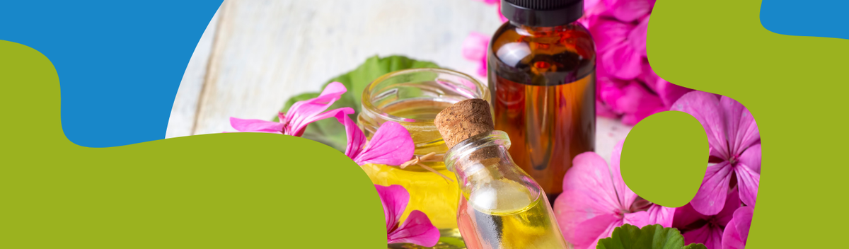 Geranium Essential Oil: Properties & Uses
