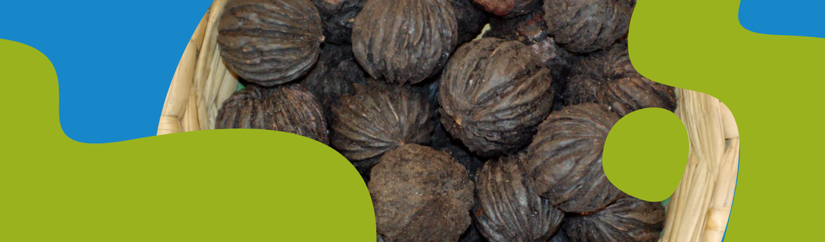 Black Walnut: Properties, Traditional Uses and Supplements